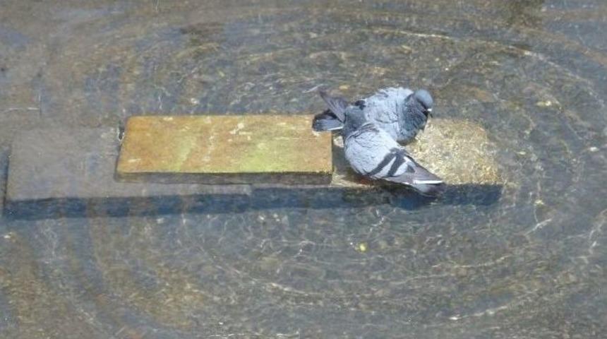 Şanlıurfa&rsquo;da Sıcak Hava Bunaltıyor