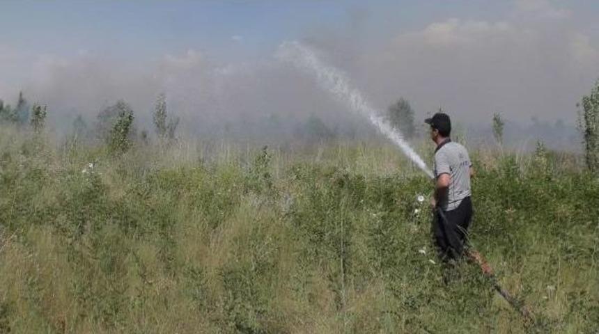 Muş Ovası'nda Ekili Alanda Yangın