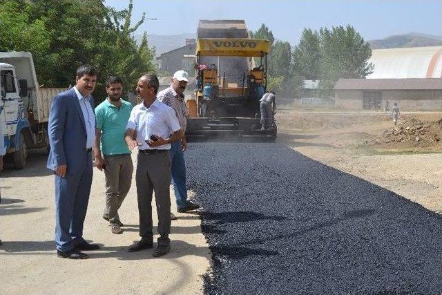 Başkan Asya Çalışmaları İnceledi