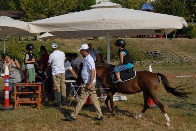 &Ccedil;ocuklar Sevimli Atlarla Buluştu 2