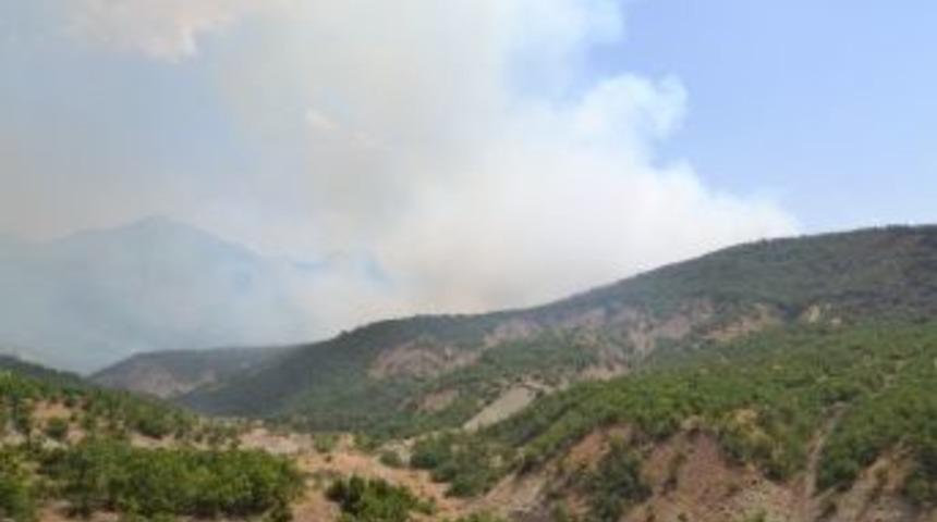Tunceli&rsquo;deki Orman Yangını Kontrol Altına Alındı
