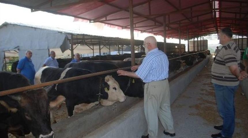 &Ccedil;erkezk&ouml;y Ziraat Odası Başkanı Toprak: