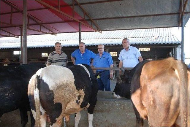 &Ccedil;erkezk&ouml;y Ziraat Odası Başkanı Toprak: 1