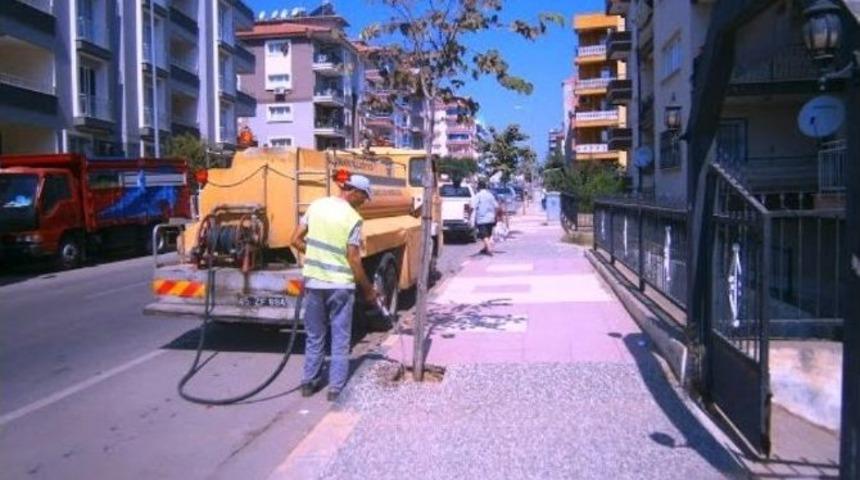 Daha Yeşil Bir Alaşehir İ&ccedil;in &Ccedil;alışıyorlar