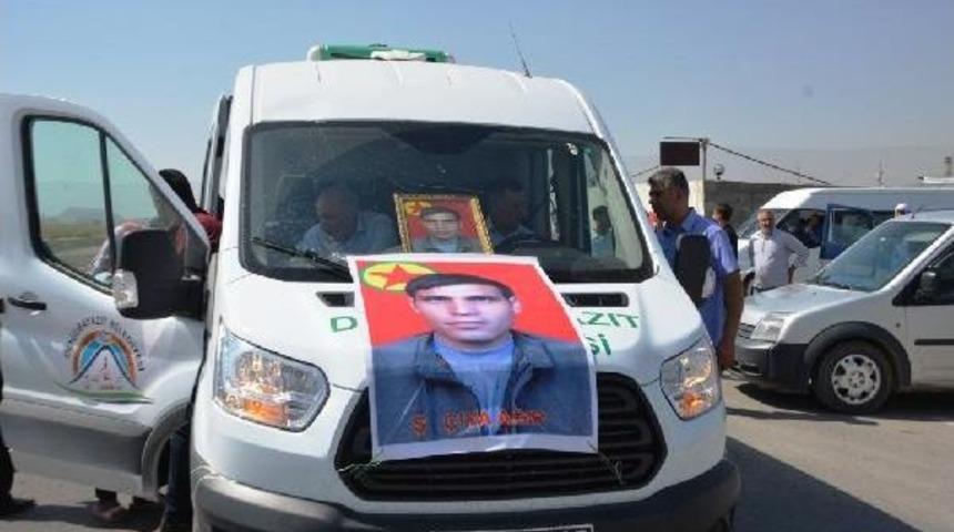 Şengal'de &Ouml;len Ypg'li Doğubayazıt'ta Toprağa Verildi