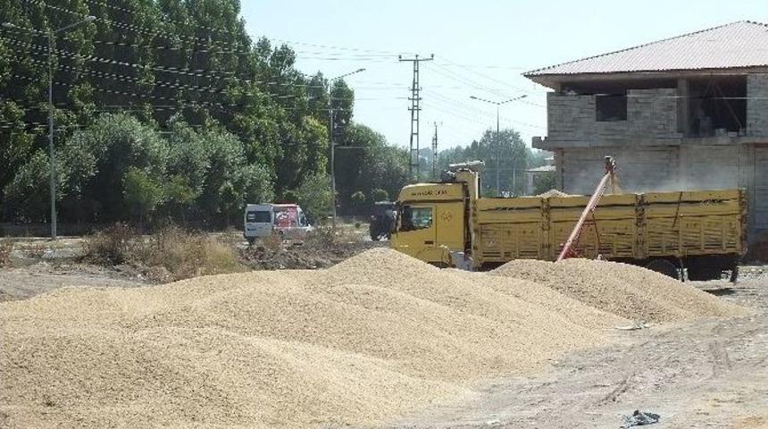 Malazgirt&rsquo;te Buğday Alımları Başladı