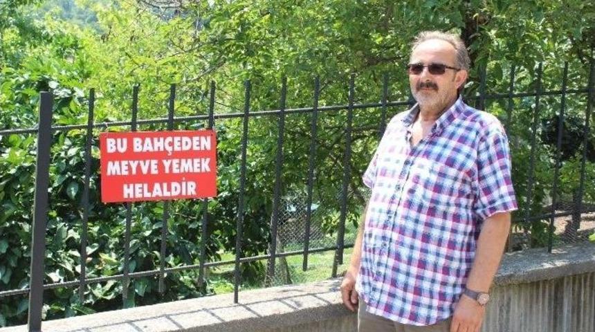 Bu Bah&ccedil;eden Meyve Yemek Helal