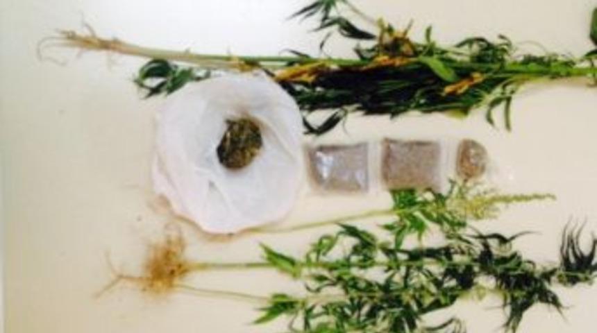 Salihli&rsquo;de Uyuşturucu Operasyonu: 9 Kişi Tutuklandı