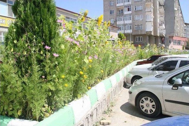 Yozgat’ta Esnaf İş Yerinin Önünü Çiçek Bahçesine Çevirdi