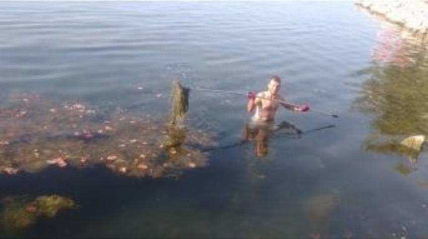 İznik G&ouml;l&uuml; Temizleniyor