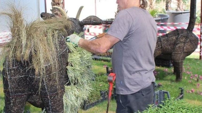 T&uuml;rkiye&rsquo;nin İlk Dev Bitki Heykelleri İ&ccedil;in Demo &Ccedil;alışması Başladı