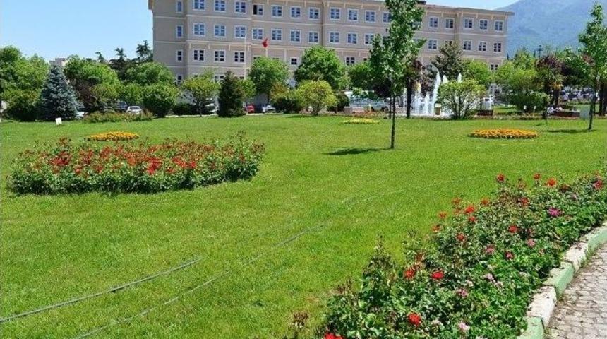 Yıldırım&rsquo;da &lsquo;yeşil&rsquo; Seferberlik