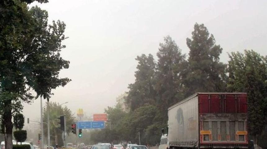 Aydın Yaz Yağmuruyla Serinledi