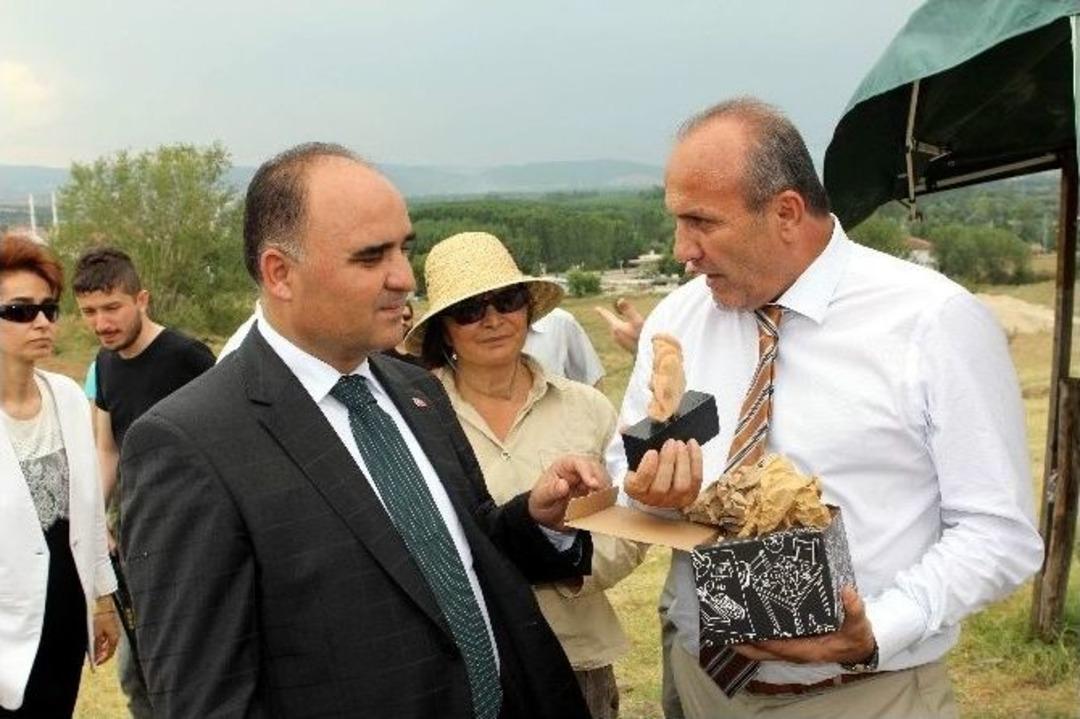 Pompeiopolis Antik Kenti İ&ccedil;in Ek &Ouml;denek Arayışı S&uuml;r&uuml;yor