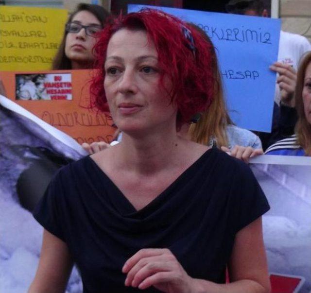 Hayvanseverlerden Kaybolan K&ouml;pekler I&ccedil;in Eylem 3