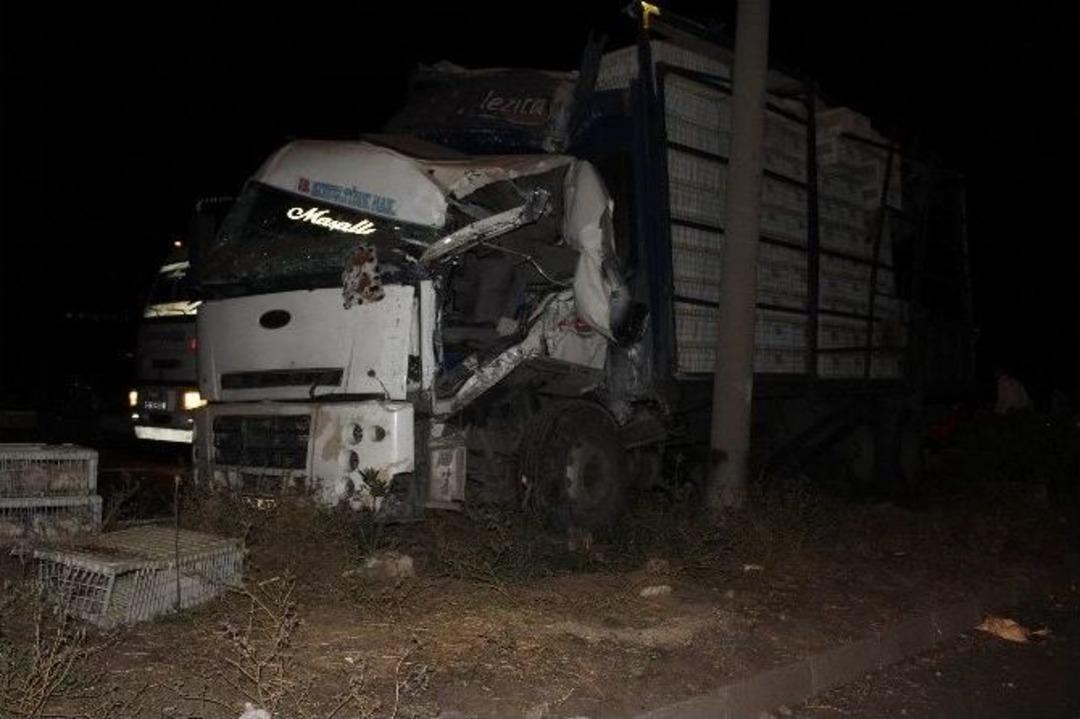 Tavuk Kamyonu Ref&uuml;je &Ccedil;ıktı 1 Yaralı