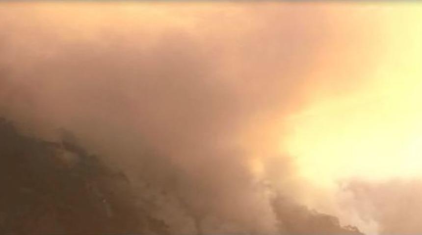 İzmir&rsquo;de Orman Yangını