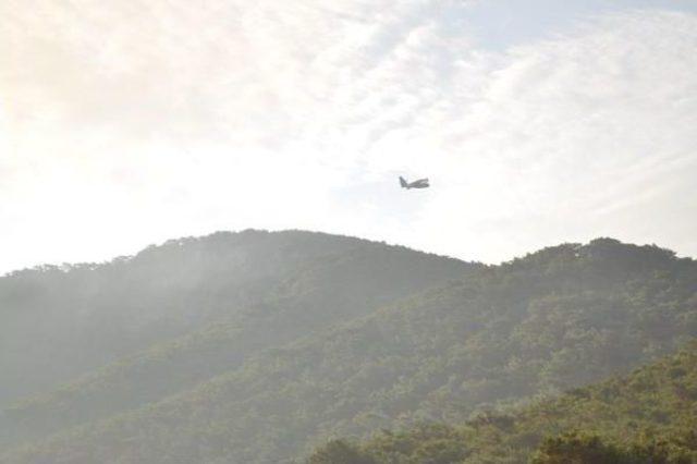 İzmir'de Yıldırım Düşen Ormanlık Alanda Yangın