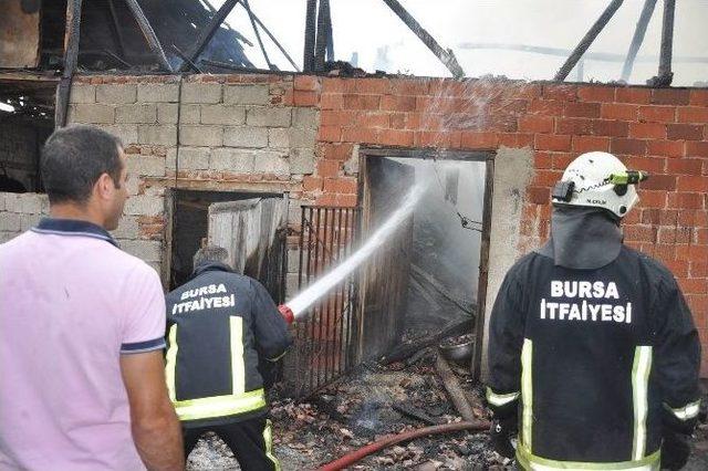 Samanlık Kül Oldu 1