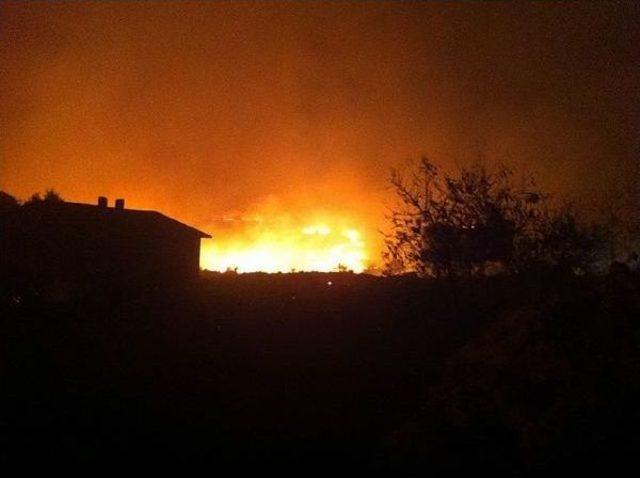 Mardin Bagok Dağı ndaki Yangın Devam Ediyor 1