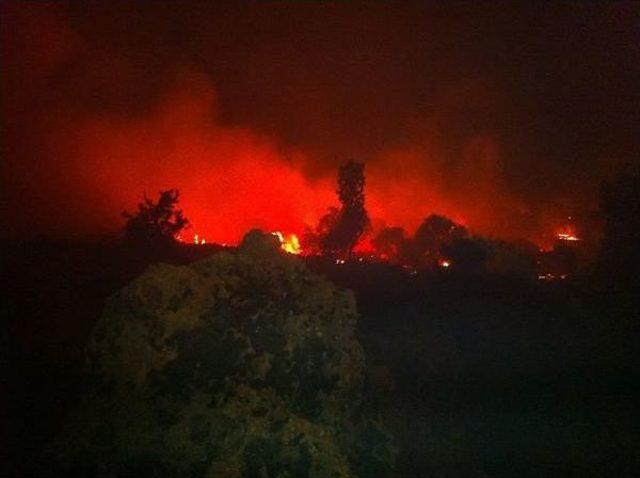 Mardin Bagok Dağı ndaki Yangın Devam Ediyor 2