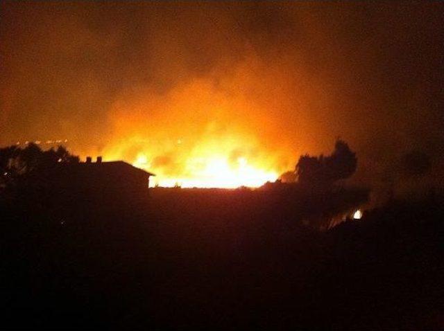 Mardin Bagok Dağı ndaki Yangın Devam Ediyor 3