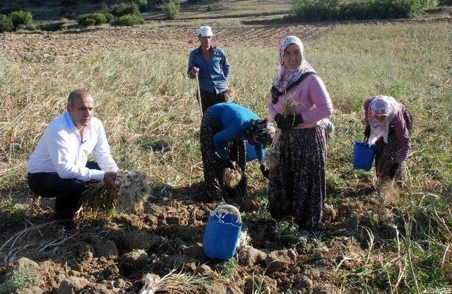 Başkan Hüseyin Arslan, 1 Yılını Değerlendirdi