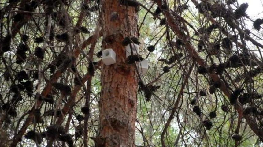 Müşterileri Rahat Etsin Diye 'kargasavar' Aldı