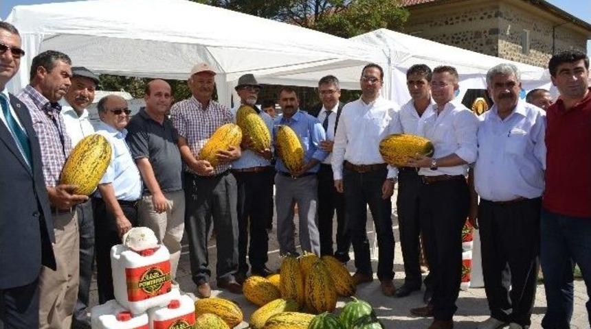 Tarım K&uuml;lt&uuml;r Ve Hayvancılık Festivali İptal Edildi