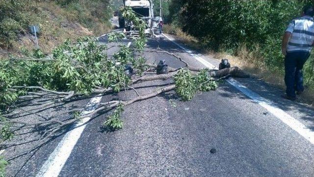 Kapanan Yol Ekonomik Kaybıda Beraberinde Getirdi