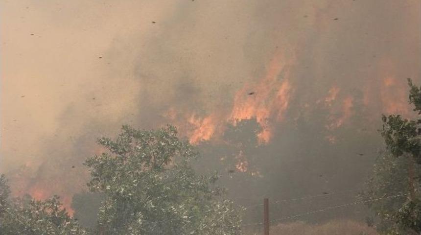 Bing&ouml;l&rsquo;de Orman Yangını