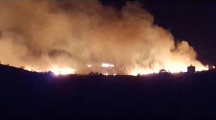 Yalova&rsquo;da 4 D&ouml;n&uuml;ml&uuml;k Zeytinlik K&uuml;l Oldu