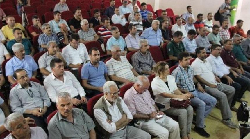 Şanlıurfa&rsquo;daki Stk&rsquo;lar Barış Adına Bir Araya Geldi