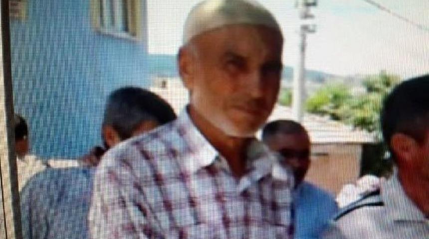 Tarlasını Domuzlardan Korumak I&ccedil;in &Ccedil;evirdiği Elektrik Akımına Kapılarak &Ouml;ld&uuml;