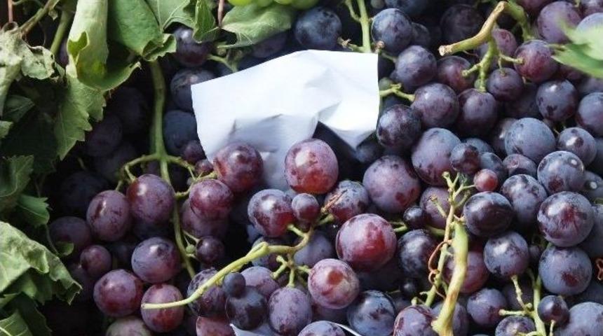 Tekirdağ&rsquo;ın Meşhur &Uuml;z&uuml;m&uuml; Pazardaki Yerini Aldı