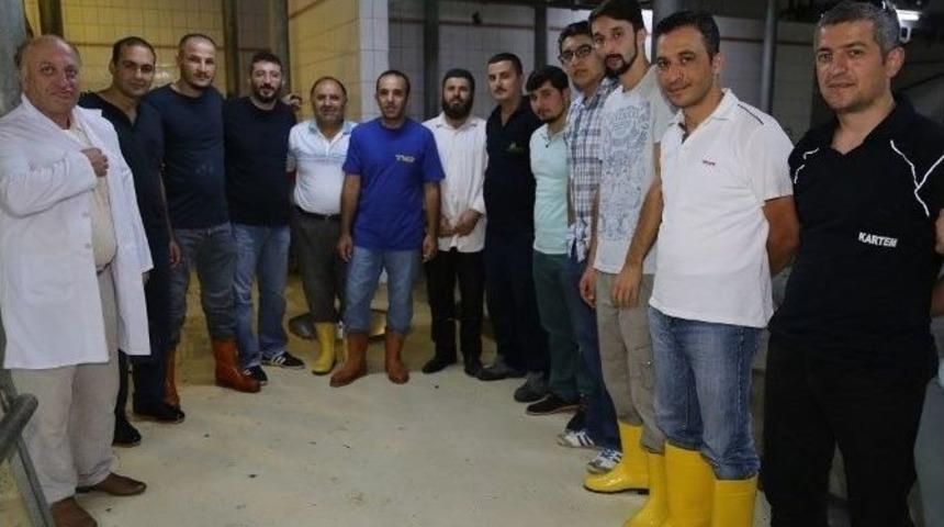 Kurban Kasaplarına Eğitim Verildi