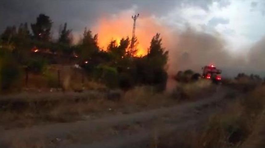 Sağanak Yağmur Ormandaki Yangınını S&ouml;nd&uuml;rd&uuml;