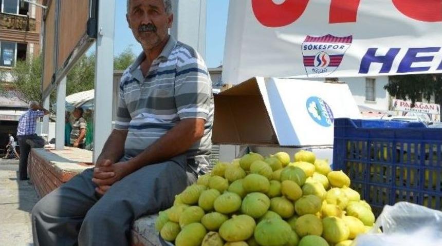 S&ouml;ke&rsquo;de İncir &Uuml;reticisinde &Ccedil;atlama Ve Personel Sıkıntısı