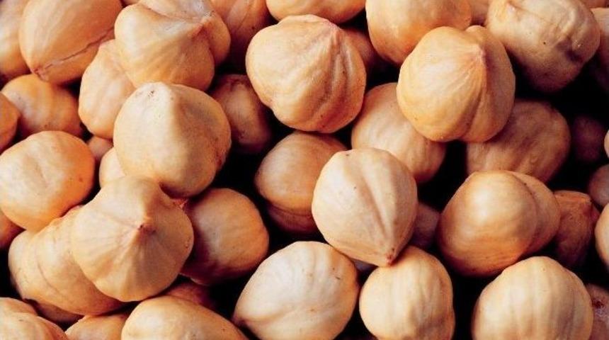 Her G&uuml;n Bir Avu&ccedil; Fındık Kanserden Koruyor