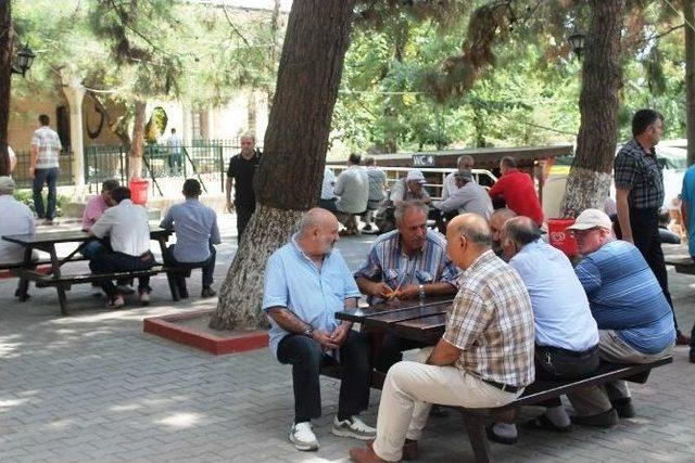 R&uuml;stem Paşa &Ccedil;ay Bah&ccedil;esi Tekirdağ&rsquo;da Yaşlılarına Sahip &Ccedil;ıkıyor 2