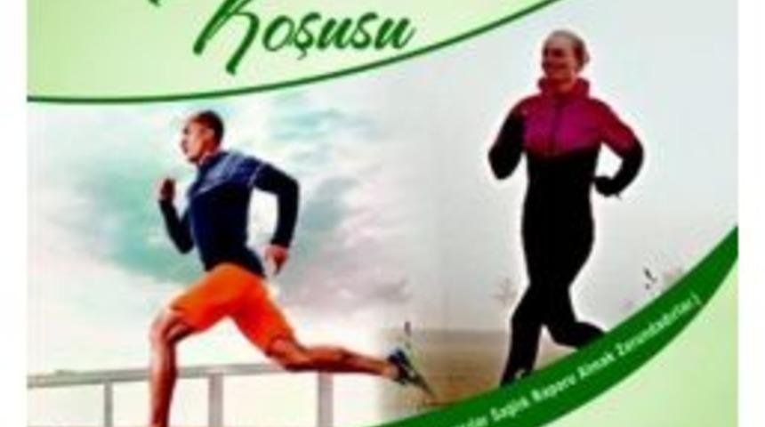 46. Geleneksel &Ccedil;atalzeytin Ginolu Koşusu 15 Ağustos&rsquo;ta