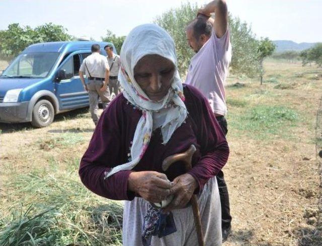 Alzheimer Hastası Fatma Nine, 24 Saat Sonra Bulundu