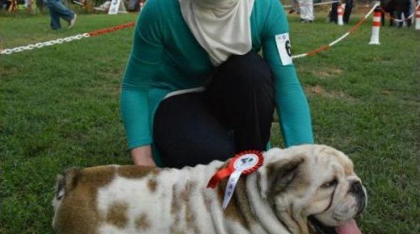 Hem Yarışıp, Hem De Eğlendiler