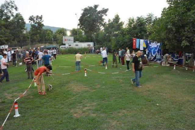 Hem Yarışıp, Hem De Eğlendiler 1