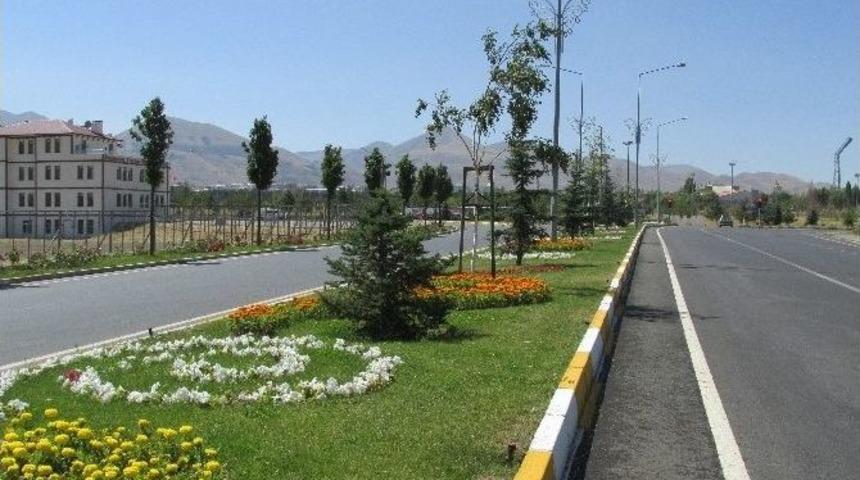 B&uuml;y&uuml;kşehir, 4 Ayda 1 Milyon 250 Bin &Ccedil;i&ccedil;ek Dikti
