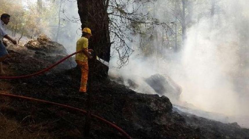 Ortaca'da Orman Yangını &Ccedil;abuk S&ouml;nd&uuml;r&uuml;ld&uuml;