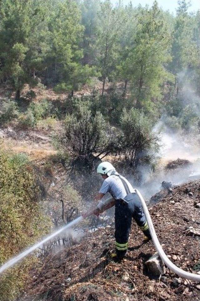 Kumluca’da Sebze Atıkları Orman Yangınına Sebep Oldu