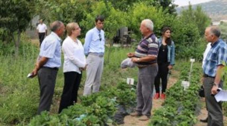 Rekt&ouml;r Kılı&ccedil;, Tarımsal &Uuml;retim Sahalarını Gezdi