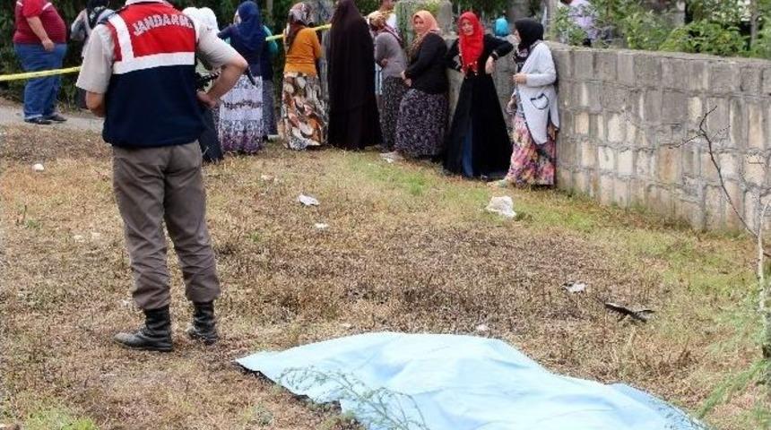 Fındık Toplamaya Giden Gen&ccedil; Kadın Kazada &Ouml;ld&uuml;