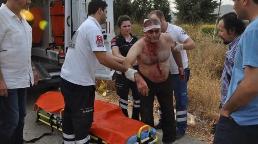 Trafik Magandaları Sopalarla D&ouml;vd&uuml;